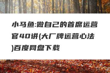 小马鱼:做自己的首席运营官40讲(大厂牌运营心法)百度网盘下载