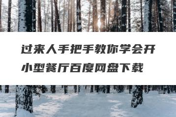 过来人手把手教你学会开小型餐厅百度网盘下载