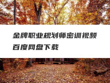 金牌职业规划师密训视频百度网盘下载