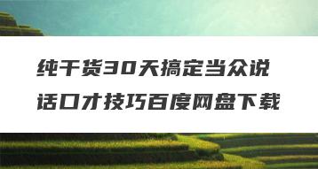 纯干货30天搞定当众说话口才技巧百度网盘下载