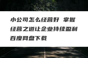 小公司怎么经营好 掌握经营之道让企业持续盈利百度网盘下载