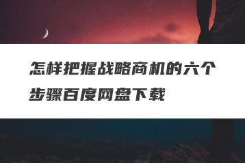 怎样把握战略商机的六个步骤百度网盘下载