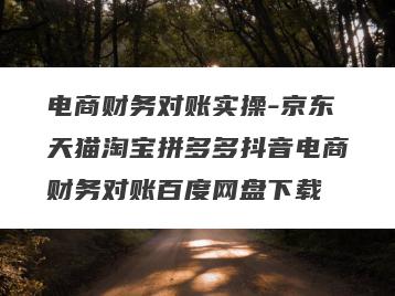 电商财务对账实操-京东天猫淘宝拼多多抖音电商财务对账百度网盘下载