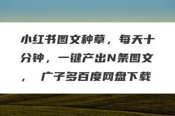 小红书图文种草，每天十分钟，一键产出N条图文， 广子多百度网盘下载