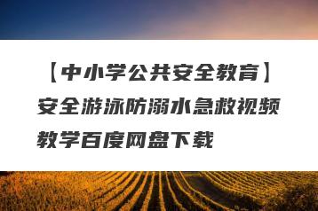【中小学公共安全教育】安全游泳防溺水急救视频教学百度网盘下载