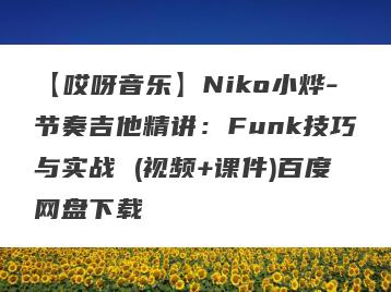 【哎呀音乐】Niko小烨-节奏吉他精讲：Funk技巧与实战 (视频+课件)百度网盘下载