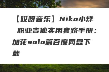【哎呀音乐】Niko小烨 职业吉他实用套路手册：加花solo篇百度网盘下载