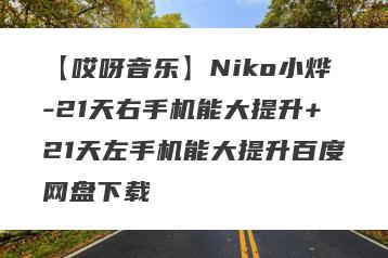 【哎呀音乐】Niko小烨-21天右手机能大提升+21天左手机能大提升百度网盘下载