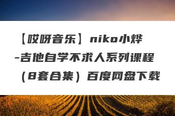 【哎呀音乐】niko小烨-吉他自学不求人系列课程（8套合集）百度网盘下载