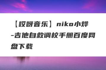 【哎呀音乐】niko小烨-吉他自救调校手册百度网盘下载