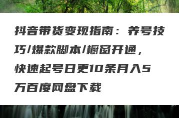 抖音带货变现指南：养号技巧/爆款脚本/橱窗开通，快速起号日更10条月入5万百度网盘下载