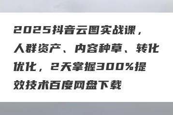 2025抖音云图实战课，人群资产、内容种草、转化优化，2天掌握300%提效技术百度网盘下载