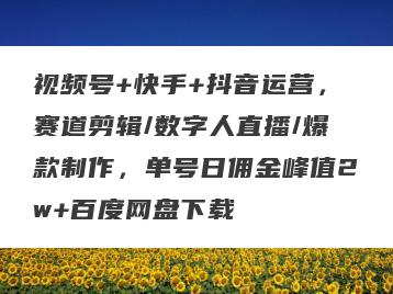 视频号+快手+抖音运营，赛道剪辑/数字人直播/爆款制作，单号日佣金峰值2w+百度网盘下载