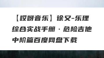 【哎呀音乐】徐又-乐理综合实战手册·危险吉他中阶篇百度网盘下载