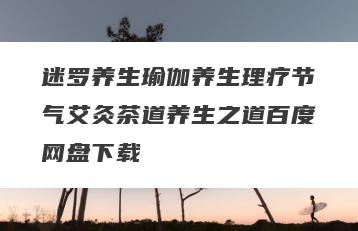迷罗养生瑜伽养生理疗节气艾灸茶道养生之道百度网盘下载