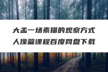 大孟一场素描的观察方式人像篇课程百度网盘下载