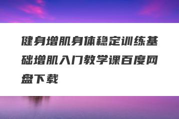健身增肌身体稳定训练基础增肌入门教学课百度网盘下载