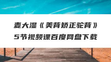 麦大湿《美背矫正驼背》5节视频课百度网盘下载