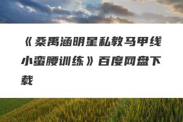 《桑禹涵明星私教马甲线小蛮腰训练》百度网盘下载