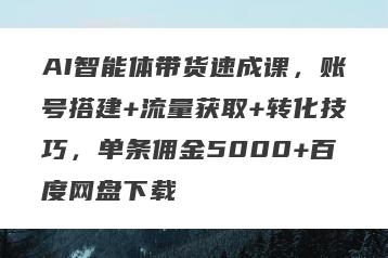 AI智能体带货速成课，账号搭建+流量获取+转化技巧，单条佣金5000+百度网盘下载