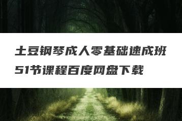 土豆钢琴成人零基础速成班51节课程百度网盘下载