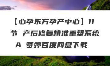 【心孕东方孕产中心】11节 产后修复精准重塑系统 A 梦婷百度网盘下载