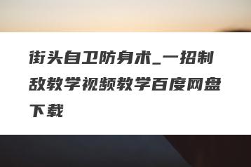 街头自卫防身术_一招制敌教学视频教学百度网盘下载