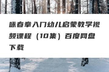 咏春拳入门幼儿启蒙教学视频课程（10集）百度网盘下载
