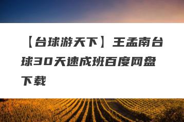 【台球游天下】王孟南台球30天速成班百度网盘下载