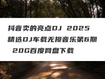 抖音卖的亮点DJ 2025精选DJ车载无损音乐第6期 20G百度网盘下载