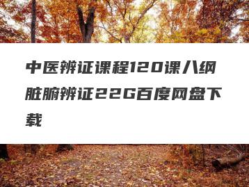 中医辨证课程120课八纲脏腑辨证22G百度网盘下载