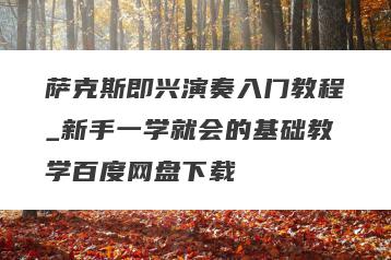 萨克斯即兴演奏入门教程_新手一学就会的基础教学百度网盘下载