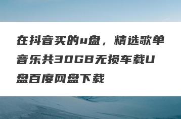 在抖音买的u盘，精选歌单音乐共30GB无损车载U盘百度网盘下载