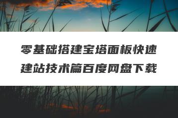 零基础搭建宝塔面板快速建站技术篇百度网盘下载