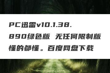 PC迅雷v10.1.38.890绿色版 无任何限制版懂的都懂。百度网盘下载