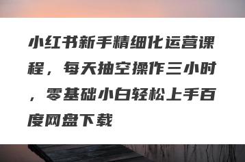 小红书新手精细化运营课程，每天抽空操作三小时，零基础小白轻松上手百度网盘下载