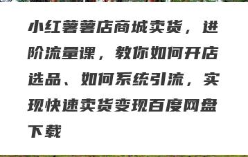小红薯薯店商城卖货，进阶流量课，教你如何开店选品、如何系统引流，实现快速卖货变现百度网盘下载