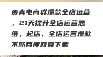 贾真电商群爆款全店运营，21天提升全店运营思维，起店、全店运营爆款不断百度网盘下载