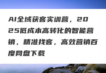 AI全域获客实训营，2025低成本高转化的智能营销，精准找客，高效营销百度网盘下载