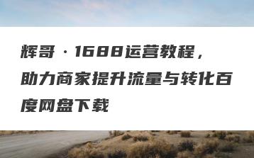 辉哥·1688运营教程，助力商家提升流量与转化百度网盘下载