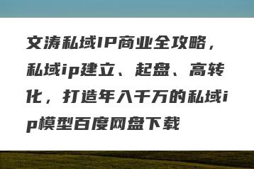 文涛私域IP商业全攻略，私域ip建立、起盘、高转化，打造年入千万的私域ip模型百度网盘下载