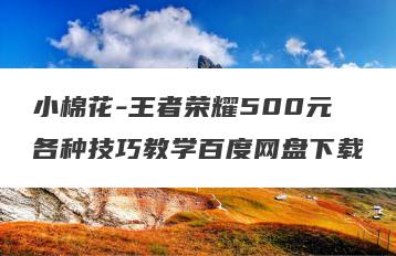 小棉花-王者荣耀500元各种技巧教学百度网盘下载