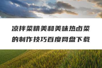 凉拌菜精美和美味热卤菜的制作技巧百度网盘下载