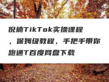 倪楠TikTok实操课程，保姆级教程，手把手带你跑通T百度网盘下载