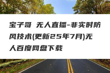 宝子哥・无人直播-非实时防风技术(更新25年7月)无人百度网盘下载