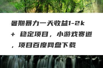 暑期暴力一天收益1-2k+ 稳定项目，小游戏赛道，项目百度网盘下载