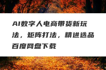 AI数字人电商带货新玩法，矩阵打法，精进选品百度网盘下载