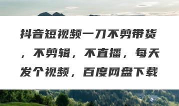 抖音短视频一刀不剪带货，不剪辑，不直播，每天发个视频，百度网盘下载