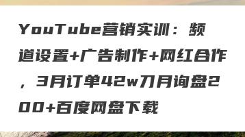 YouTube营销实训：频道设置+广告制作+网红合作，3月订单42w刀月询盘200+百度网盘下载