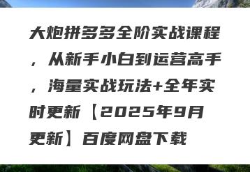 大炮拼多多全阶实战课程，从新手小白到运营高手，海量实战玩法+全年实时更新【2025年9月更新】百度网盘下载